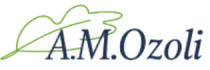 amozoli.lv logo