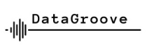 datagroove.lv shop logo