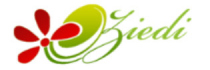 e-ziedi.lv shop logo
