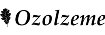 ozolzeme.lv logo
