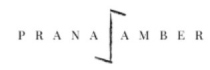 pranaamber.com shop logo