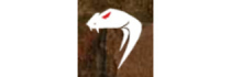 vipertactical.eu logo