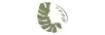 augi-plants.lv shop logo
