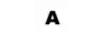 aybel.eu shop logo