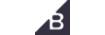 bearnaturalorganics.com shop logo