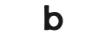 bso.lv shop logo