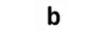 bstore.eu shop logo
