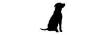 devidlabel.com shop logo