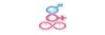 fallostrano.com shop logo