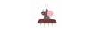 logossm.lv shop logo