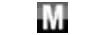 micrec.lv shop logo