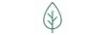 saporepuro.myshopify.com shop logo